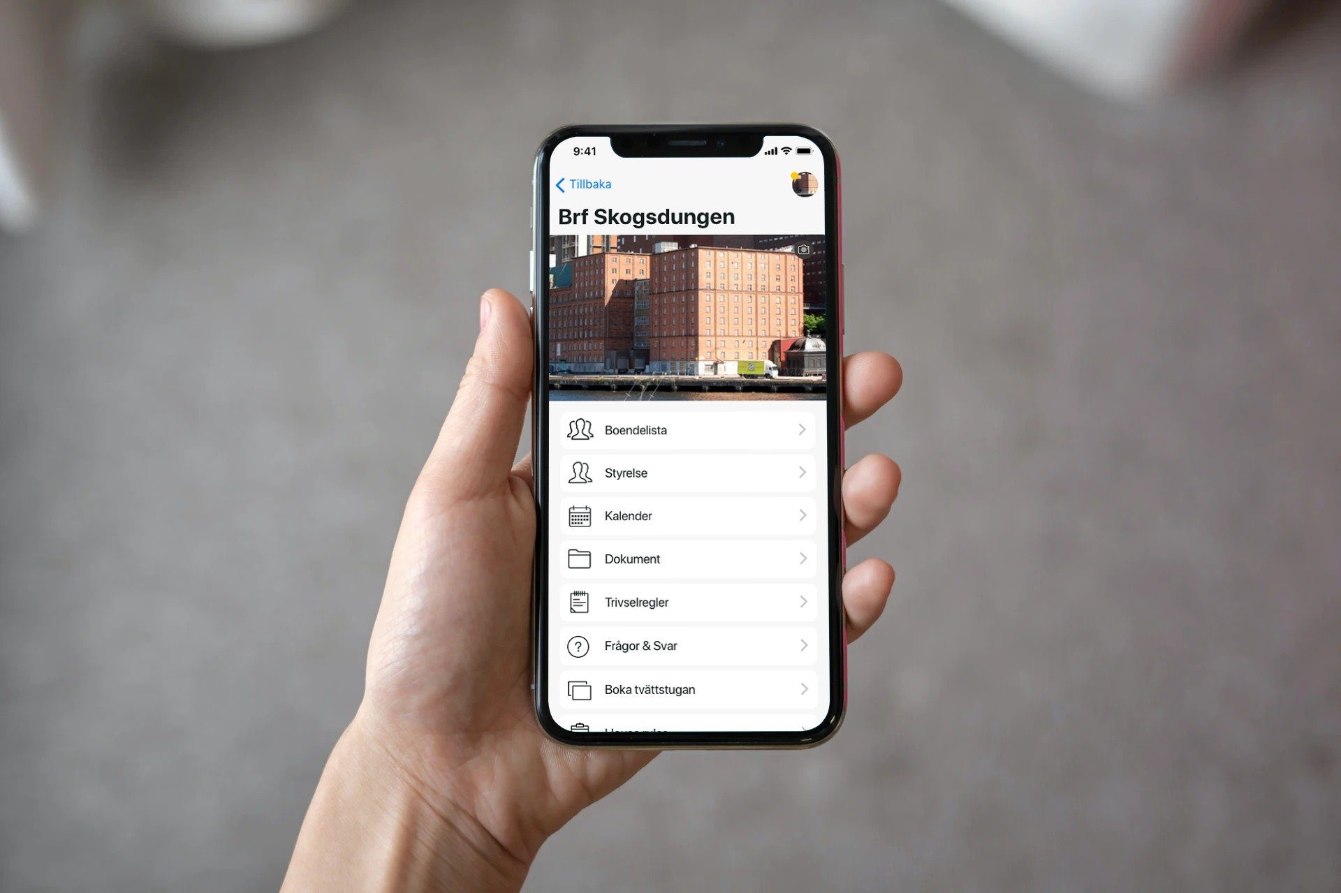Boappa_mockup